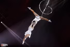 Vietnamese circus acts shine in international arena