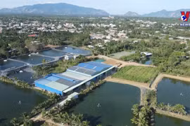 Ba Ria-Vung Tau developing environmentally-friendly rural trades