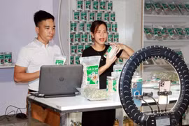 Retailers are selling goods through livestreaming. (Photo: VNA)