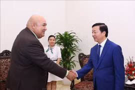 Deputy Prime Minister Tran Hong Ha (R) and WHO Regional Director for the Western Pacific Dr. Saia Ma’u Piukala (Photo: VNA)