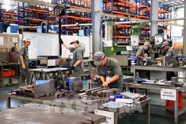 Workers at Giang Dien Industrial Park, Trang Bom district, the southern province of Dong Nai (Photo: VNA)