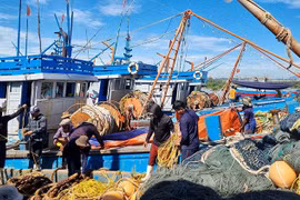 Vietnam gives weight to protecting and developing aquatic resources. (Photo: baochinhphu)