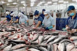 Fishery export sustains momentum during January-May. (Photo: VNA)