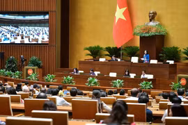 At the ongoing eighth session of the 15th National Assembly (Photo: VNA)