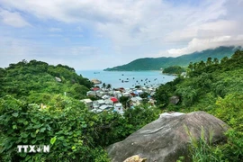 The Cu Lao Cham Nature Reserve (Photo: VietnamPlus)