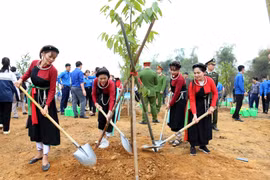 The “planting a billion trees for 2021-2025” project receives enthusiastic response from local residents. (Photo: VNA)