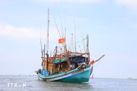 Ca Mau province is stepping up measures to fight against IUU fishing. (Photo: VNA)