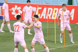 The Vietnamese national team seen at a recent training session (Photo VFF)