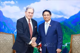 PM Pham MInh Chinh (R) and Deputy Prime Minister and Minister of Foreign Affairs of New Zealand Winston Peters (Photo: VNA)
