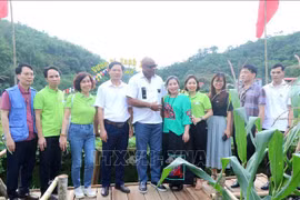 The FAO delegation visits an agricultural model in Bac Kan province. (Photo: VNA)