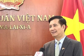 Vietnamese Ambassador to Malaysia Dinh Ngoc Linh (Photo: VNA)