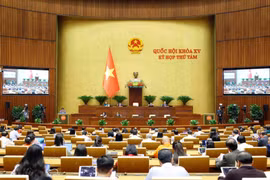 At the 15th National Assembly's eighth sitting (Photo: VNA)