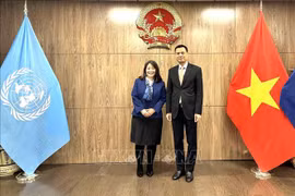 Ambassador Dang Hoang Giang (R) and Director of UNICEF’s Public Partnerships Division June Kunugi (Photo: VNA)