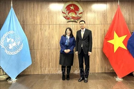 Ambassador Dang Hoang Giang (R) and Director of UNICEF’s Public Partnerships Division June Kunugi (Photo: VNA)