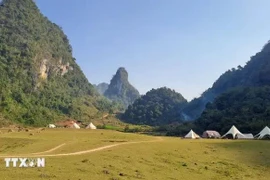 Visitors are interested in bathing themselves in the glory of Non Nuoc Cao Bang UNESCO Global Geopark. (Photo: VNA)