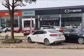 Vietnam’s auto sales in May increase 6% from the previous month to 25,794 units. (Photo: VNA)