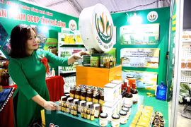Vietnam’s total retail sales of consumer goods and services top 101.3 billion USD during January-May. (Photo: VNA)