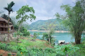 (Photo: VietnamPlus)