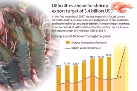 Difficulties ahead for shrimp export target of 3.4 billion USD 