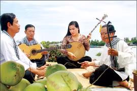 Art of Đờn ca tài tử enchants folk music lovers 