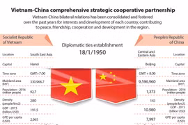 Vietnam-China comprehensive strategic cooperative partnership