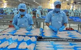 Tra fish sector should target Asian market: experts