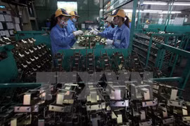 Supporting industry hoped to meet 65% of domestic demand by 2025