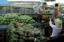 Bustling life of Cai Rang floating market
