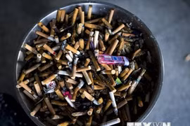 Tobacco kills 7 million people every year