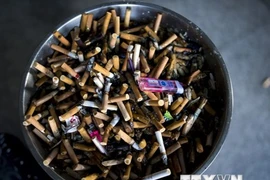 Tobacco kills 7 million people every year