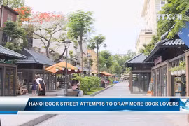 Hanoi Book Street attempts to draw more book lovers