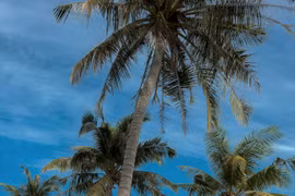 A summer holiday on Sao Beach, Phu Quoc island