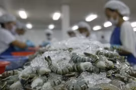 Shrimp exports expected to reach 5 bln USD by 2020