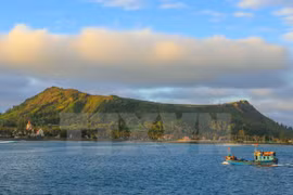More efforts needed to preserve biodiversity on Ly Son Island