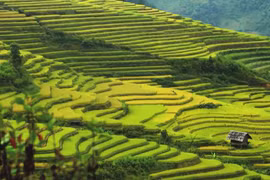 Mu Cang Chai named as worthy visit by US travel site