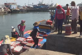Fishery activities recover one year after Formosa incident