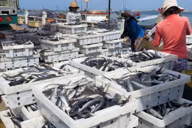 Seafood export value estimated at 844 million USD early 2017
