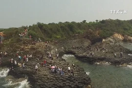 Phu Yen cooperates with Mekong Delta provinces to promote tourism