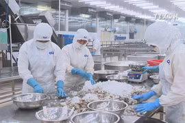 Enterprises urged to grasp food safety standards for export