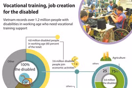 Vocational training, job creation for the disabled