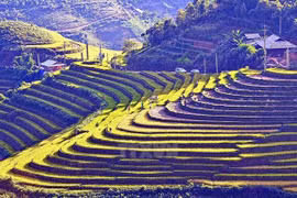 Tourism sector in ASEAN – challenges vs. opportunities