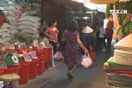 Plastic bags threaten environment