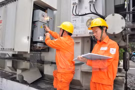 APEC 2017: Da Nang works to ensure electricity supply