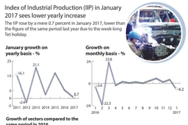 Index of Industrial Production (IIP) in January sees low increase