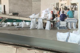 Opportunities and challenges facing Vietnam’s rice export