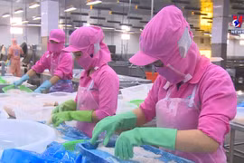 Vietnam regrets US denial of market economy status