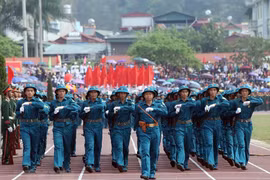 65th anniversary of Dien Bien Phu victory celebrated