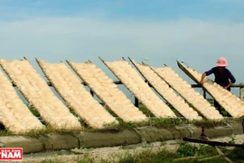 Lo Cuong rice noodle making village