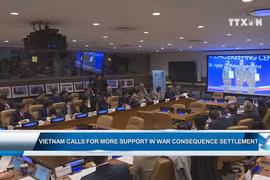 Vietnam calls for more support in war consequence settlement