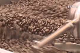 Coffee stockpiling recommended due to low prices